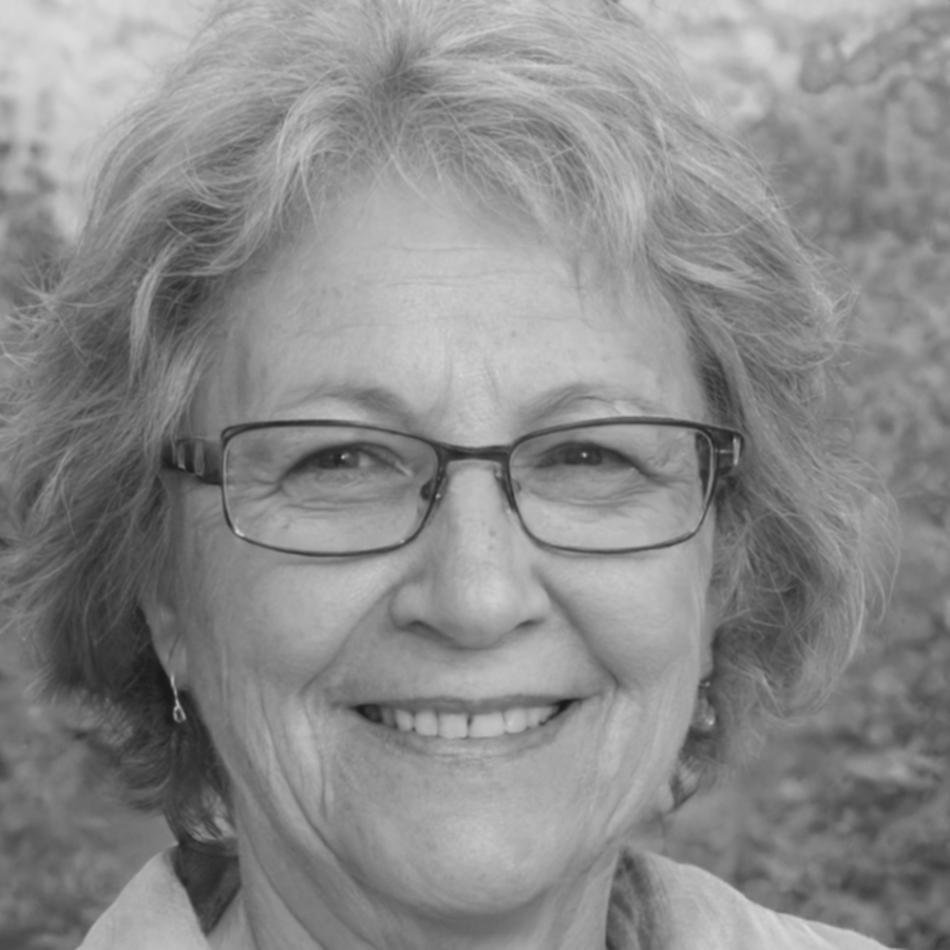 Profesional del sector